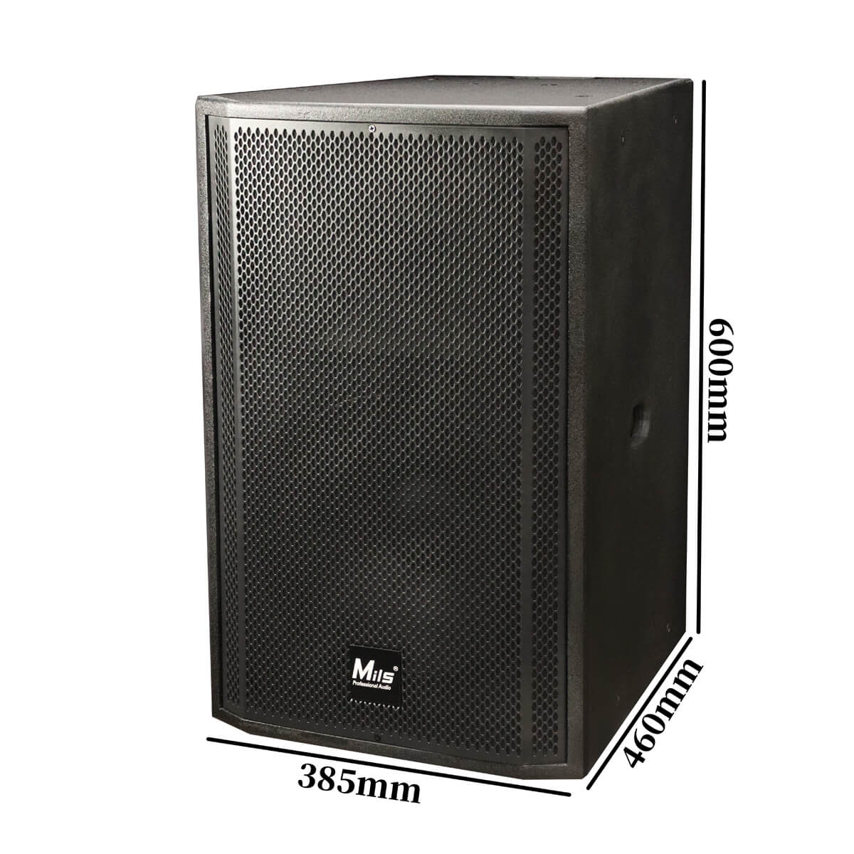 P12 Series Professional Speaker Size