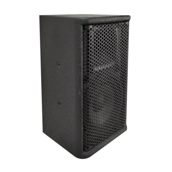 Ps06 Professional Speaker 01