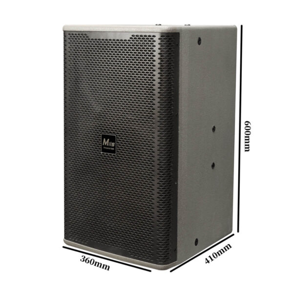 Rv12 Professional Speaker Size